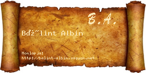 Bálint Albin névjegykártya